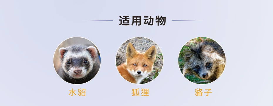 貂、狐、貉等毛皮動(dòng)物腦膜炎、心內(nèi)膜炎的防治用藥廠家批發(fā)-青島康地恩