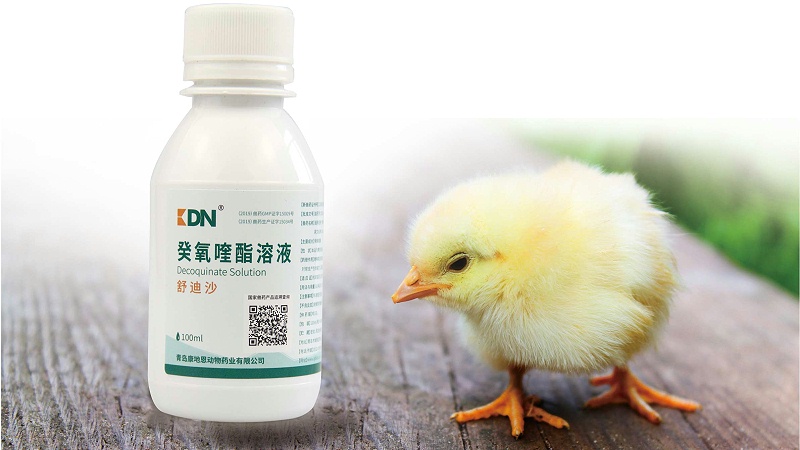 癸氧喹酯溶液在動物球蟲病防治上的應(yīng)用