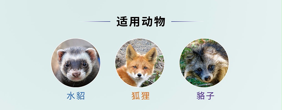 毛皮動(dòng)物的血蟲(chóng)病鹽酸多西環(huán)素可溶性粉青島康地恩專(zhuān)賣(mài)