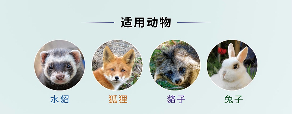 貂狐貉兔等毛皮動(dòng)物退熱解表藥-卡巴匹林鈣可溶性批發(fā)-青島康地恩