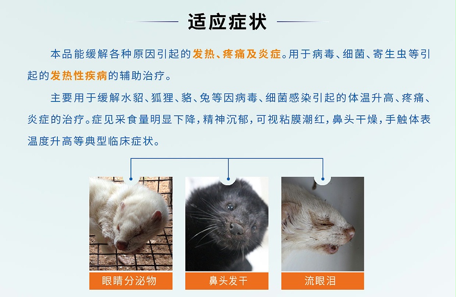 貂狐貉兔等毛皮動(dòng)物退熱解表藥-卡巴匹林鈣可溶性批發(fā)-青島康地恩2