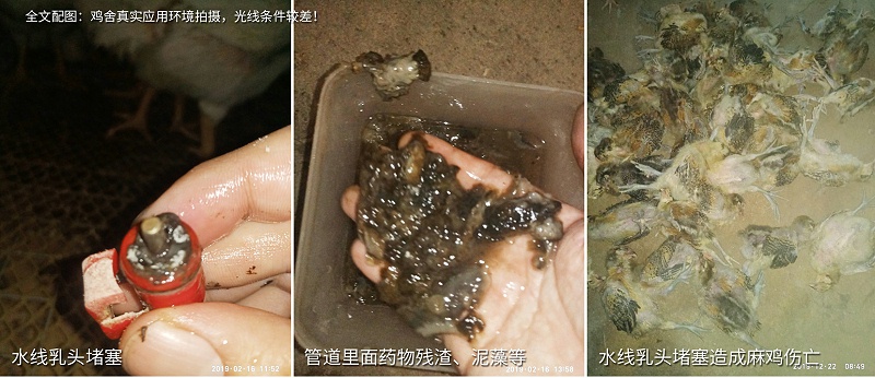 規(guī)?；u場水質(zhì)管理