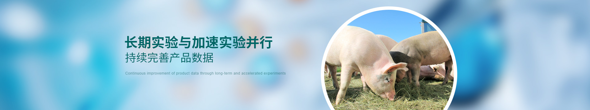 康地恩，長(zhǎng)期實(shí)驗(yàn)與加速實(shí)驗(yàn)并行