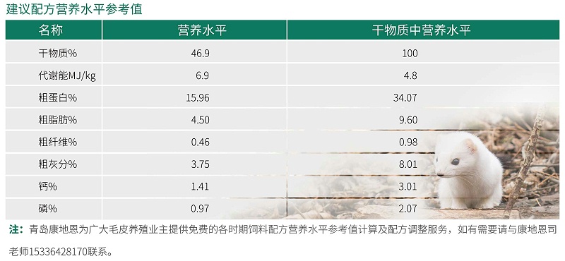 11月份進(jìn)口改良水貂建議配方營(yíng)養(yǎng)水平參考值-青島康地恩